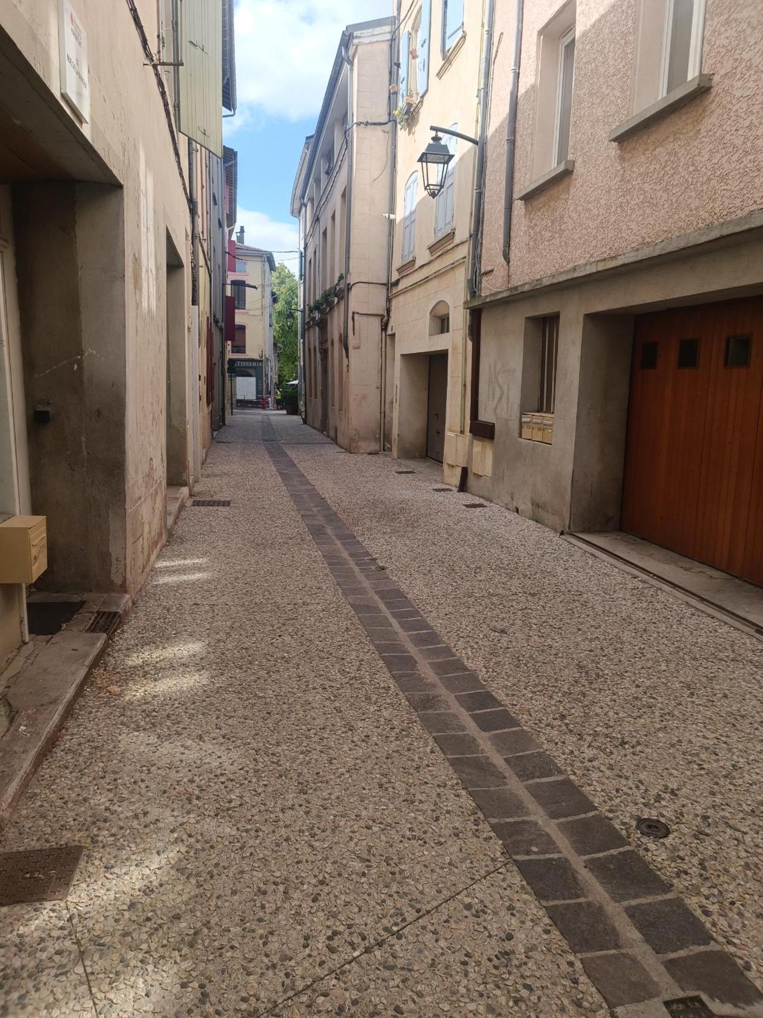 Grand Studio Meuble Chez Coco Romans-sur-Isère المظهر الخارجي الصورة