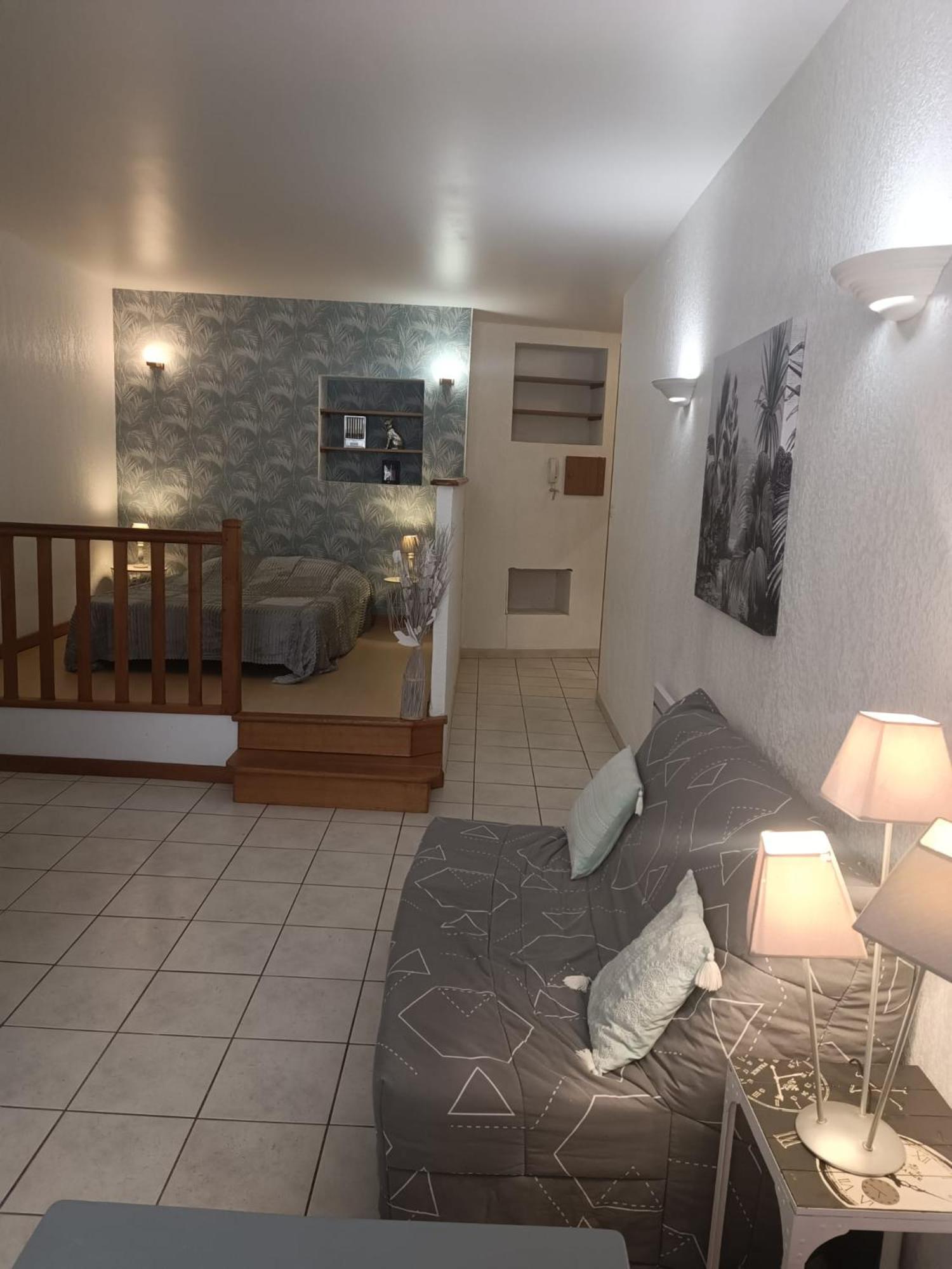Grand Studio Meuble Chez Coco Romans-sur-Isère المظهر الخارجي الصورة